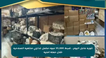 تنويه عاجل اليوم.. ضبط 55,000 عبوة مكمل غذائي منتهية الصلاحية خلال حملة أمنية